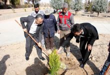 گزارش تصویری از آئیین درختکاری و تقدیر ازهمکاران فضای سبز دانشگاه